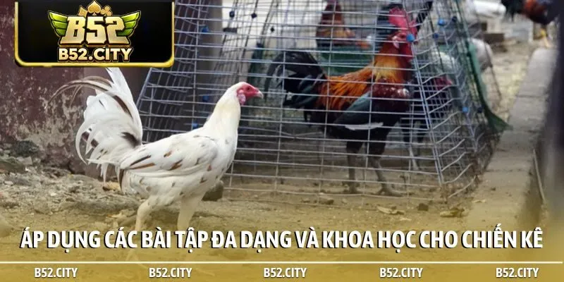Áp dụng các bài tập đa dạng và khoa học cho chiến kê