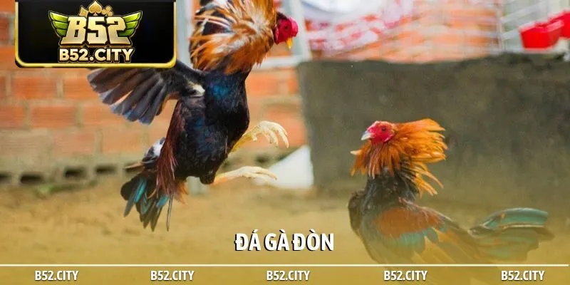 Đá gà đòn