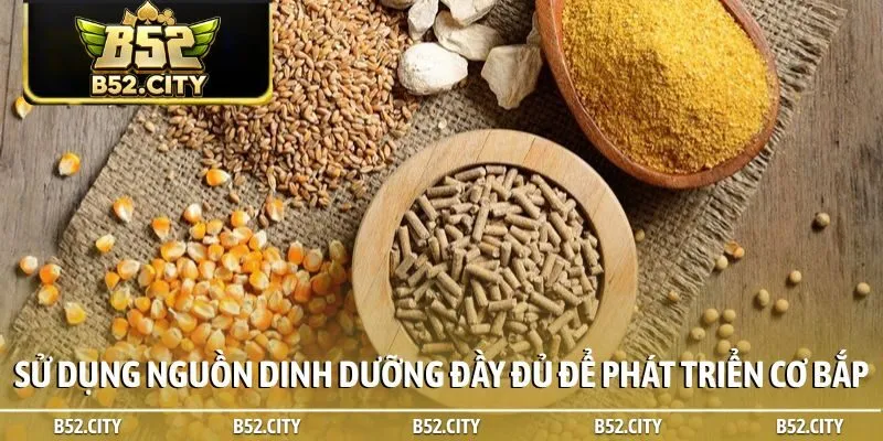 Sử dụng nguồn dinh dưỡng đầy đủ để phát triển cơ bắp